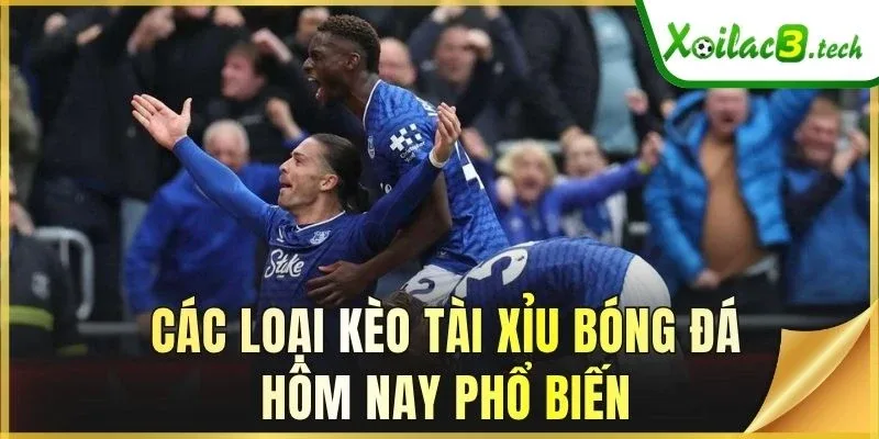 Các loại kèo Tài Xỉu bóng đá hôm nay phổ biến