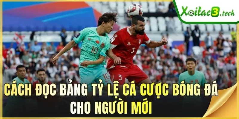 Cách đọc bảng tỷ lệ cá cược bóng đá cho người mới