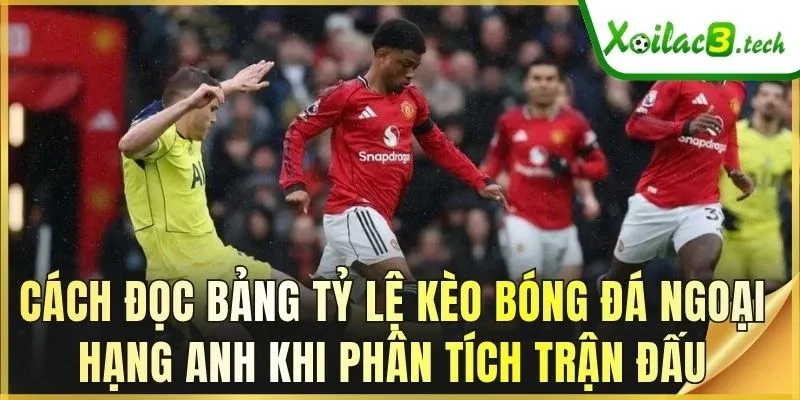 Cách đọc bảng tỷ lệ kèo bóng đá Ngoại hạng Anh khi phân tích trận đấu