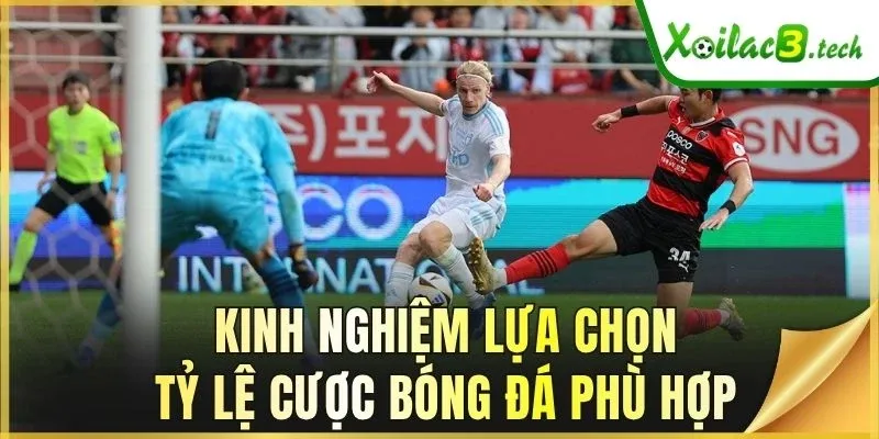 Kinh nghiệm lựa chọn tỷ lệ cược bóng đá phù hợp