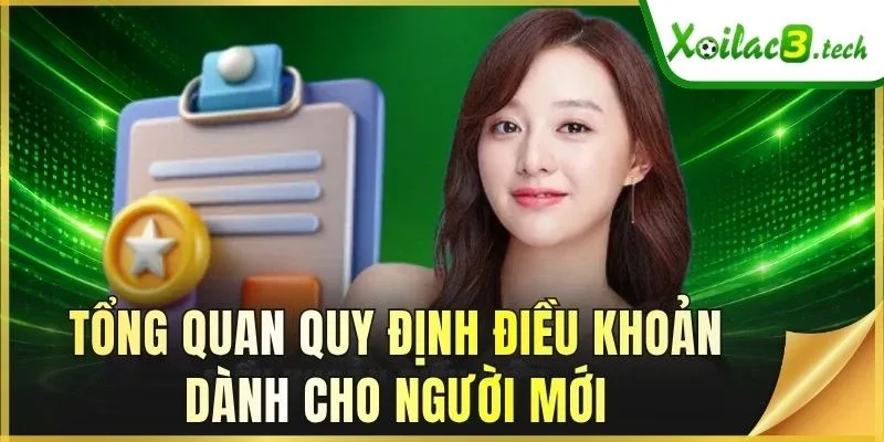 Tổng quan quy định điều khoản dành cho người mới